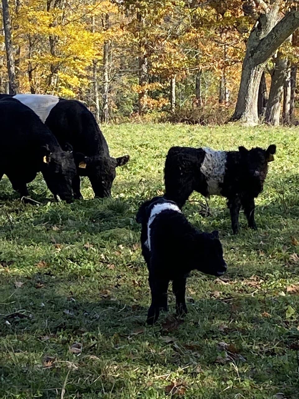 Agricultural Heritage Tours