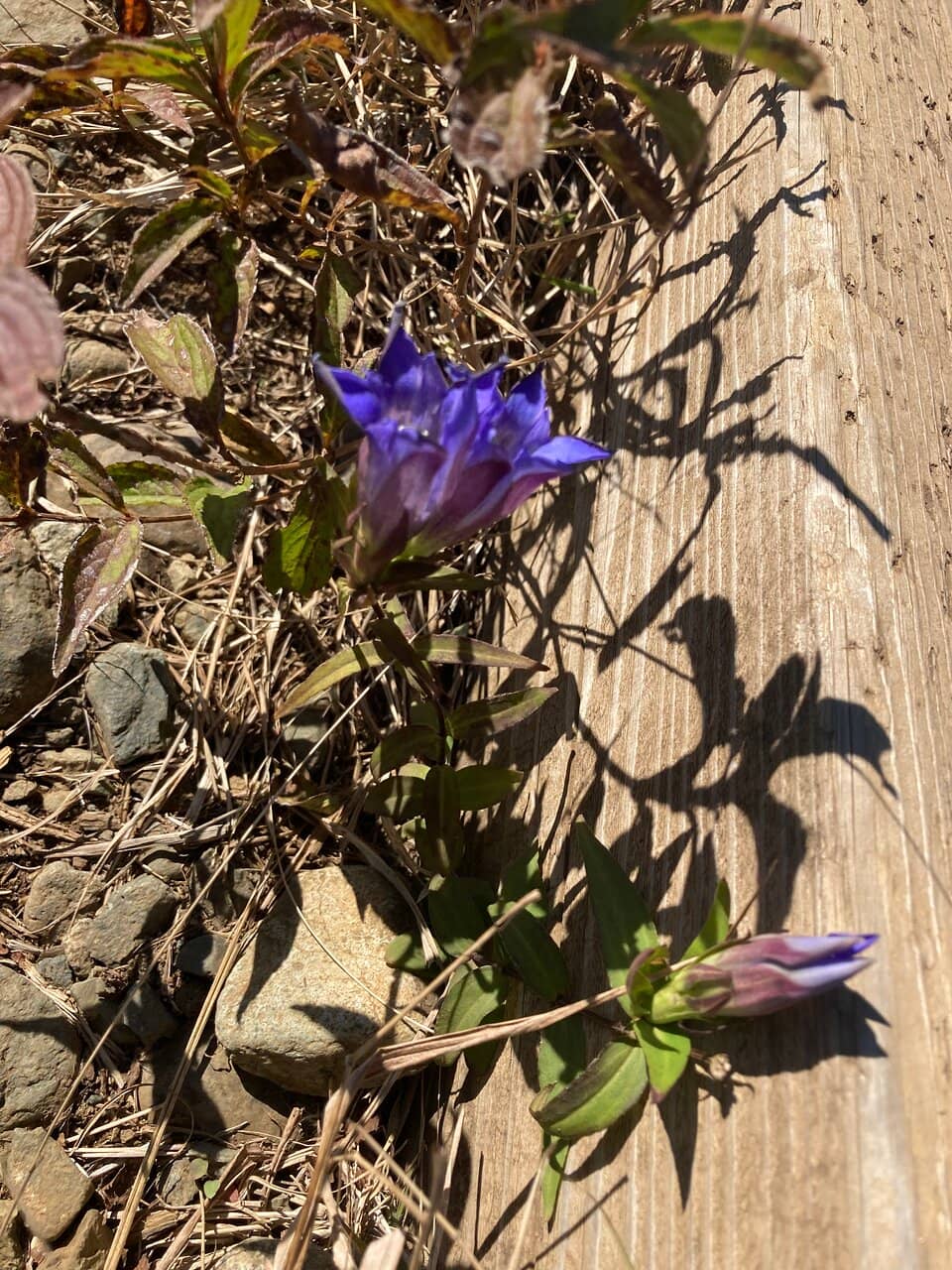 Well-Maintained Trails