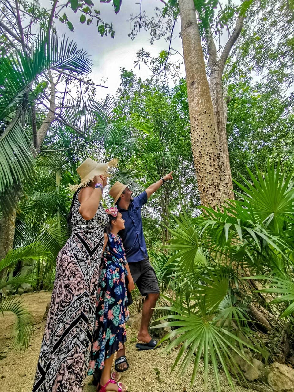 Vertical photo