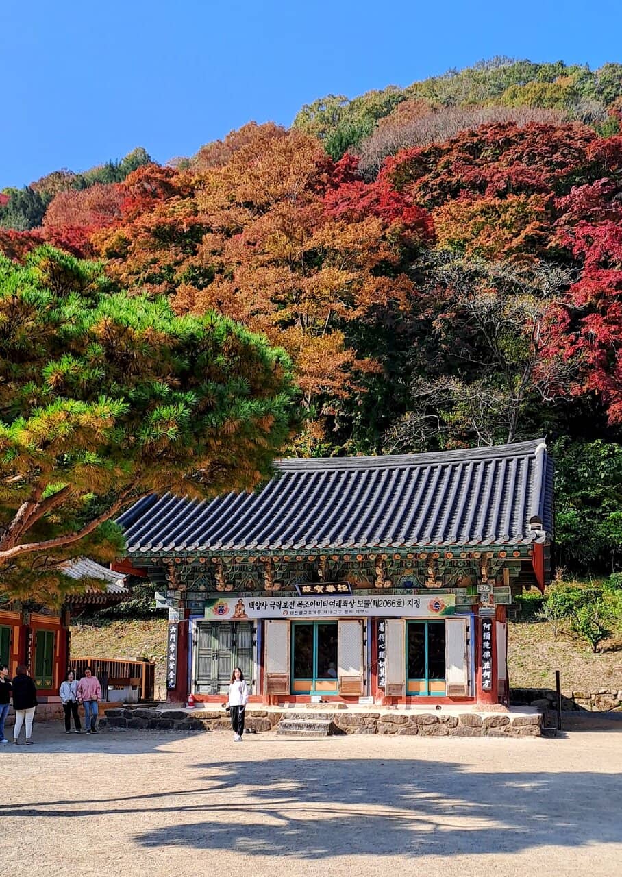 Temple Grounds & Alleys