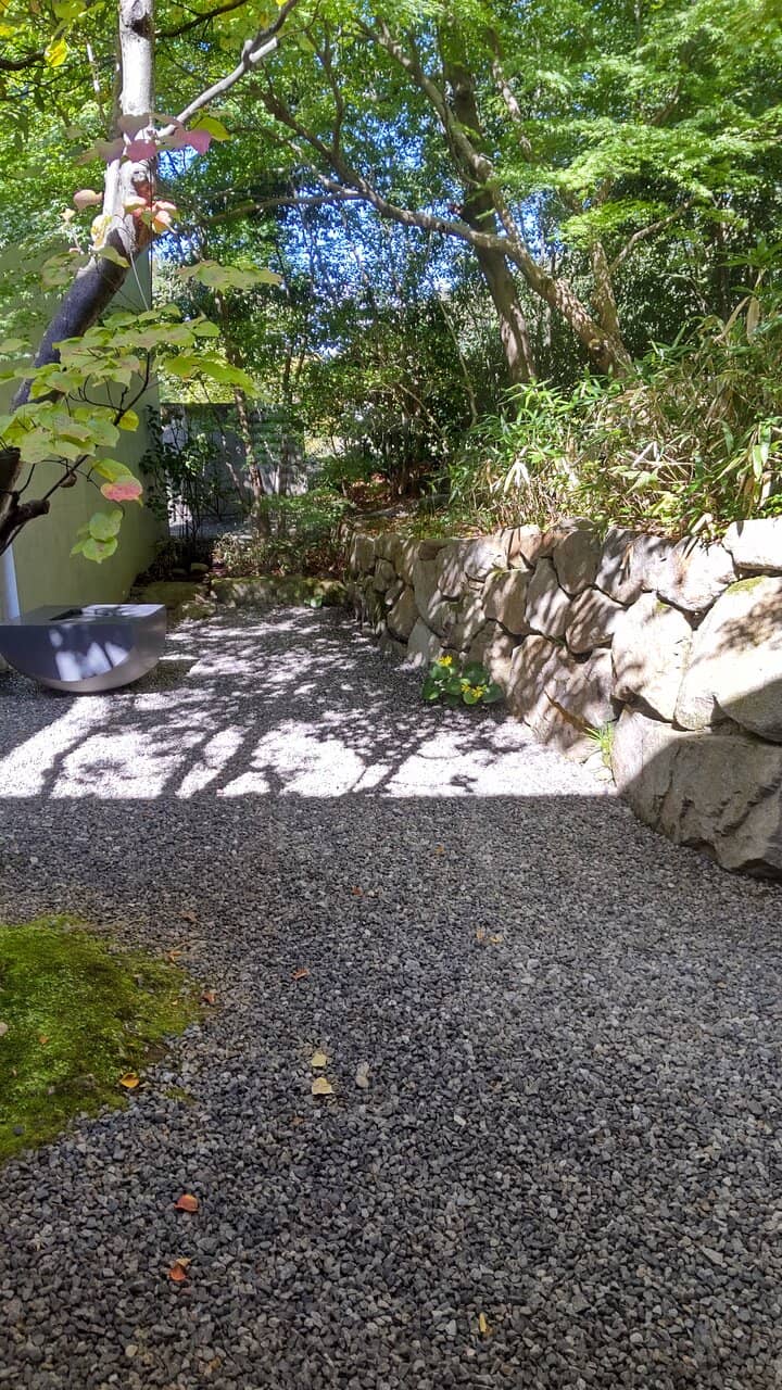The Water Pool