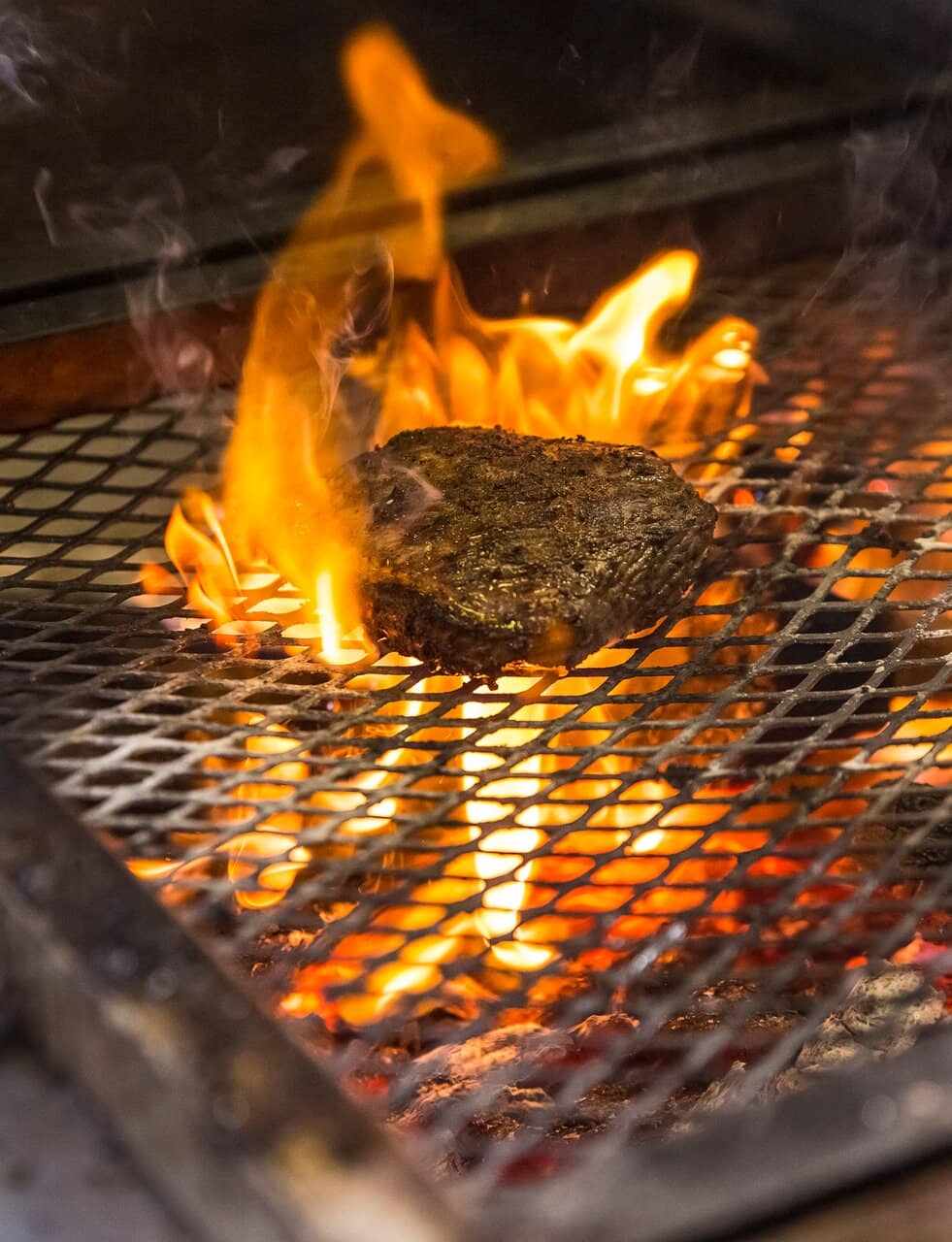 Flame-Grilled Food