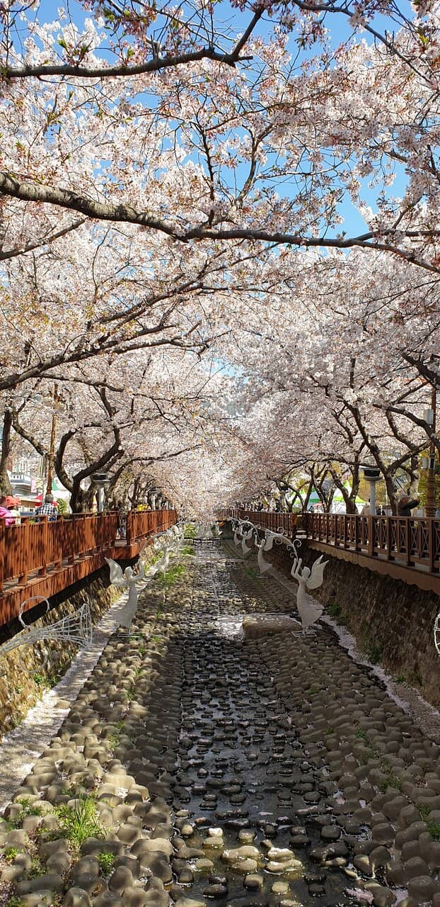 Family-Friendly Recreation