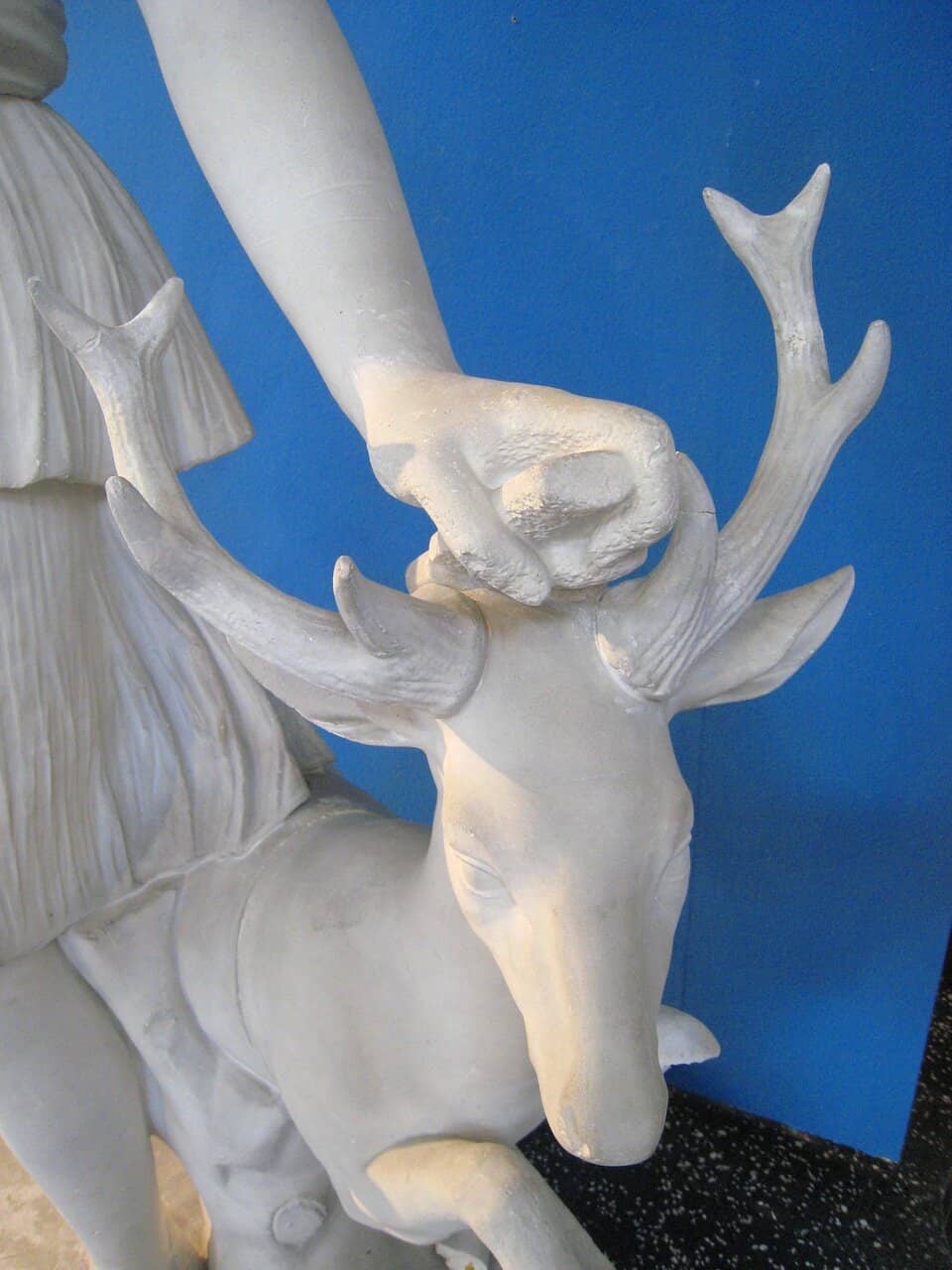 Special Event Nights