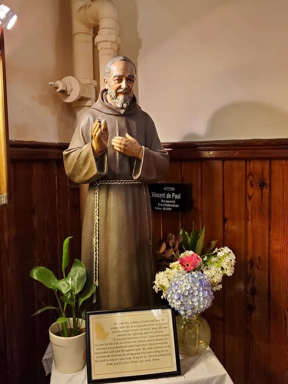 Franciscan Martyr's Skull
