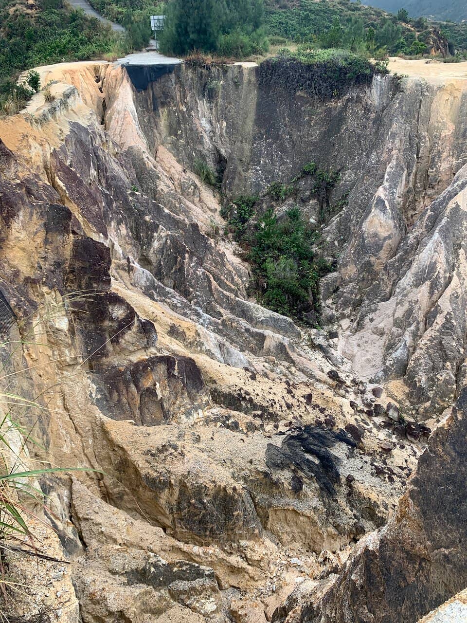 Vertical photo