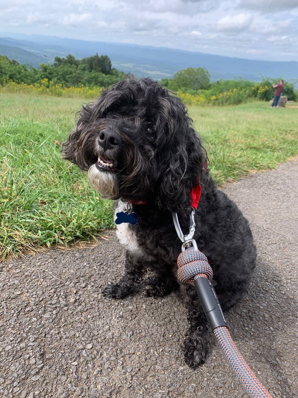 Informative Exhibits