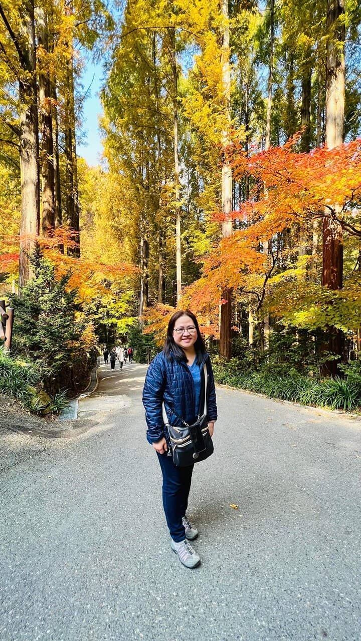 Suspension Bridge & Observatory
