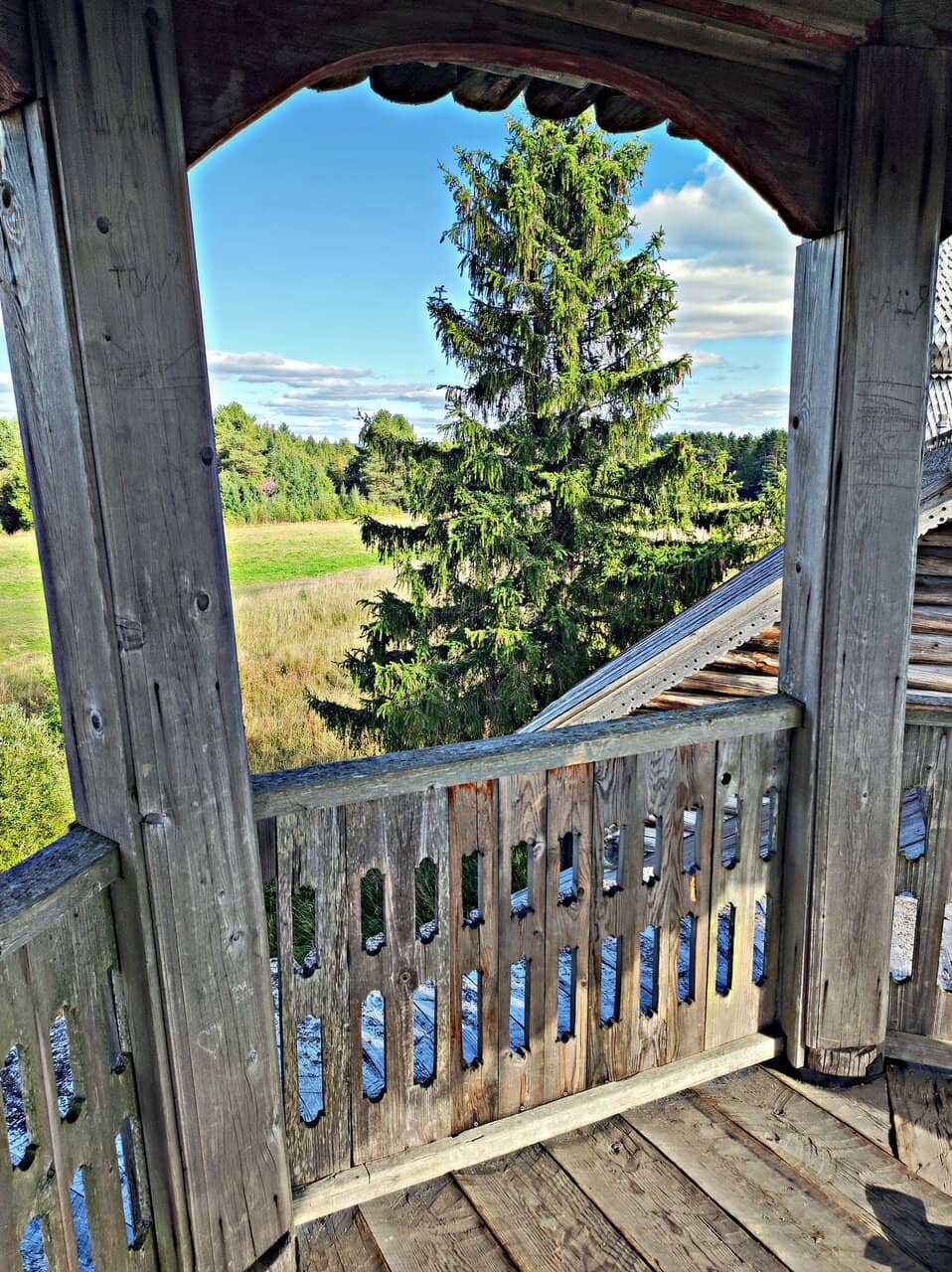 Jacaranda Trees and Square
