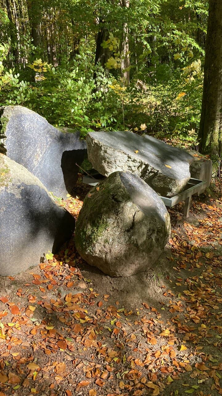 Peaceful Forest Ambiance