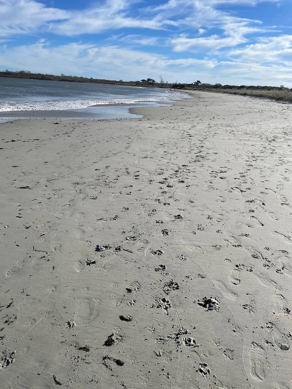 Calm Waters for Families