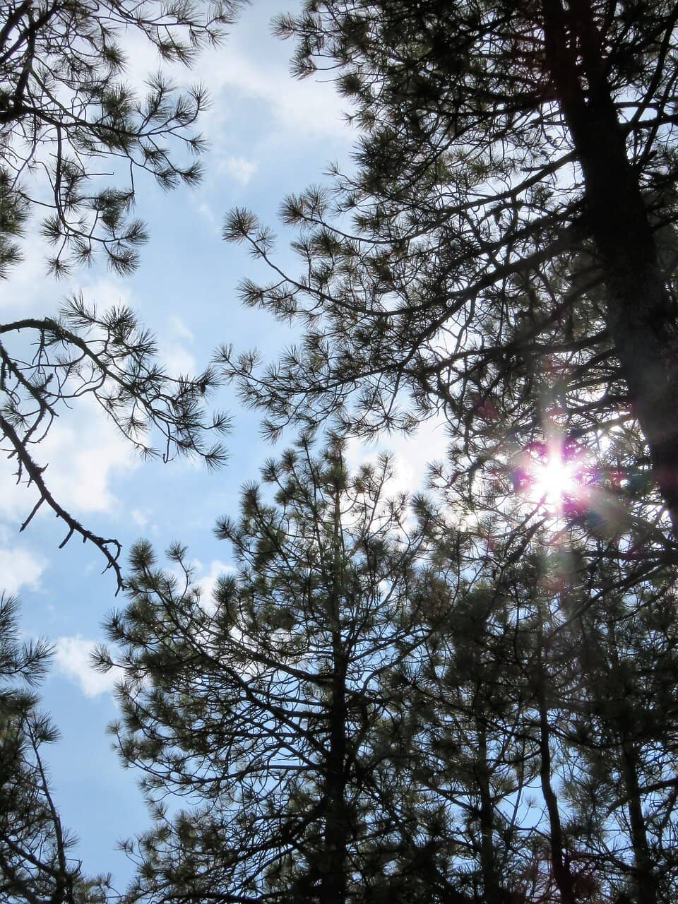 Vertical photo