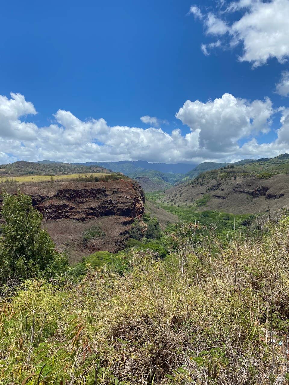 Highlights