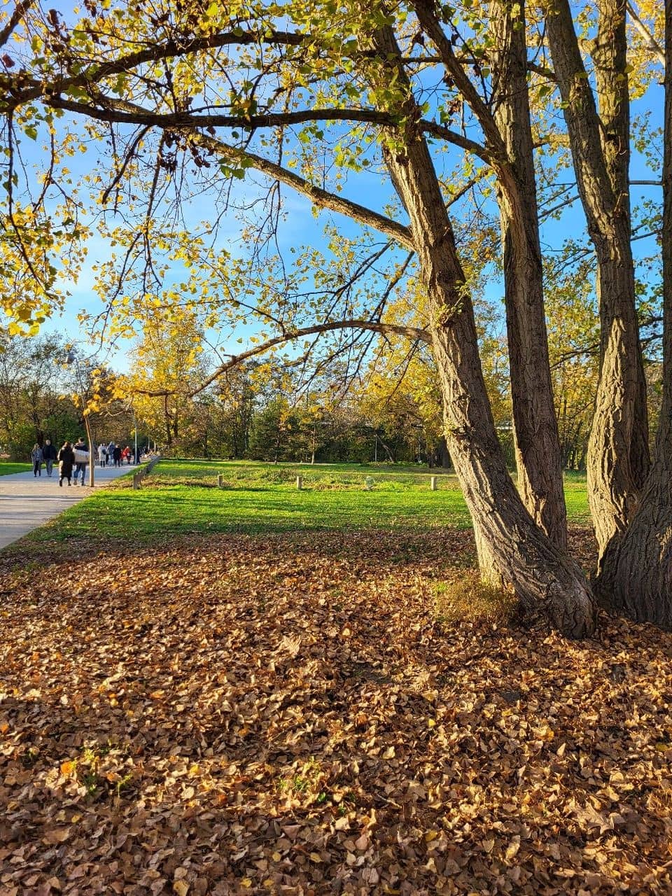 The U-Bahn Bridge Shelter