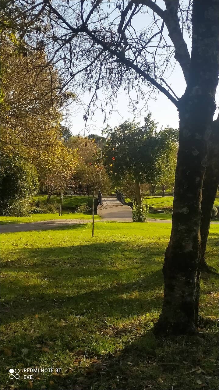 Picnic Spots