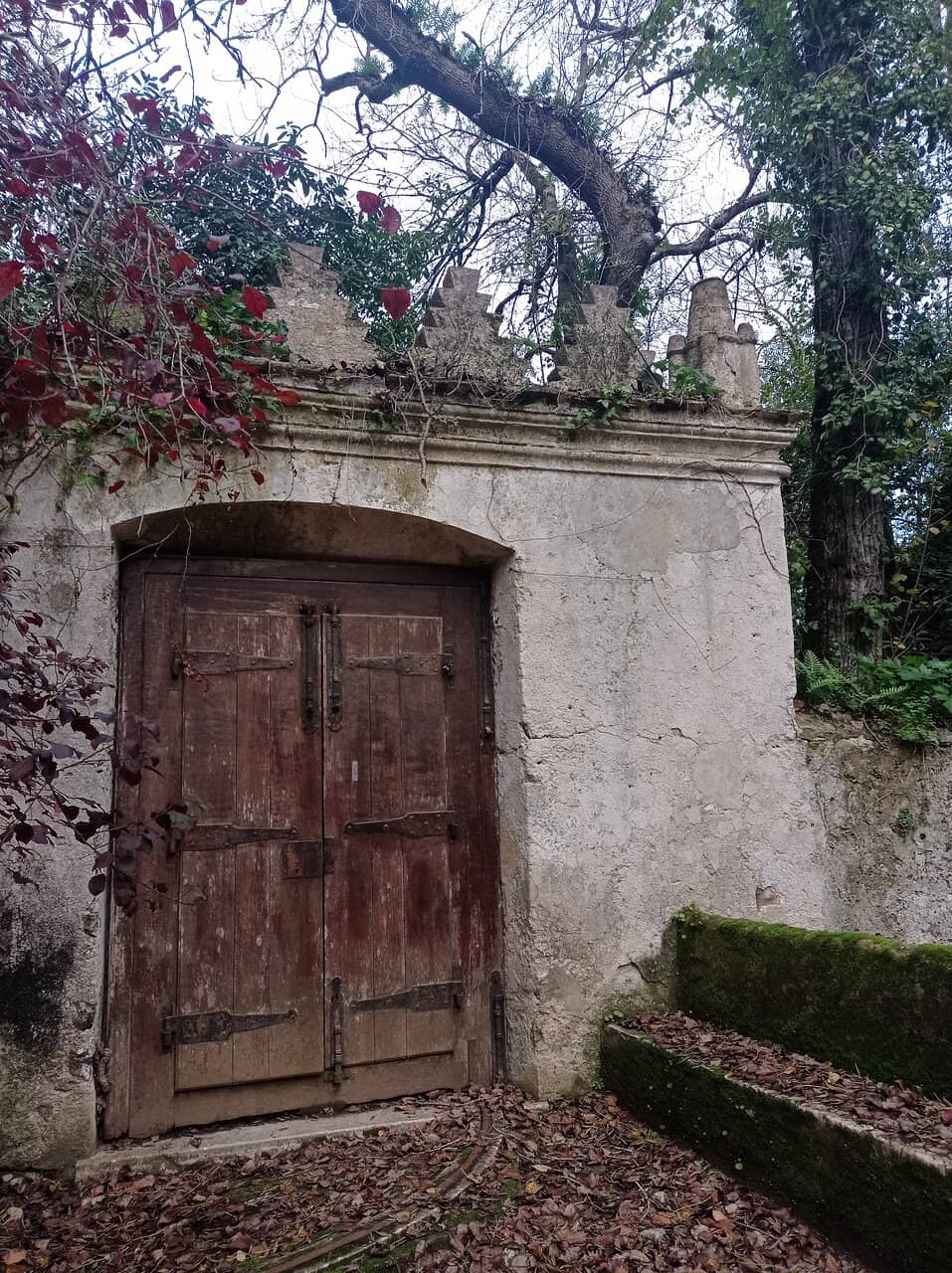Artistic Gardens