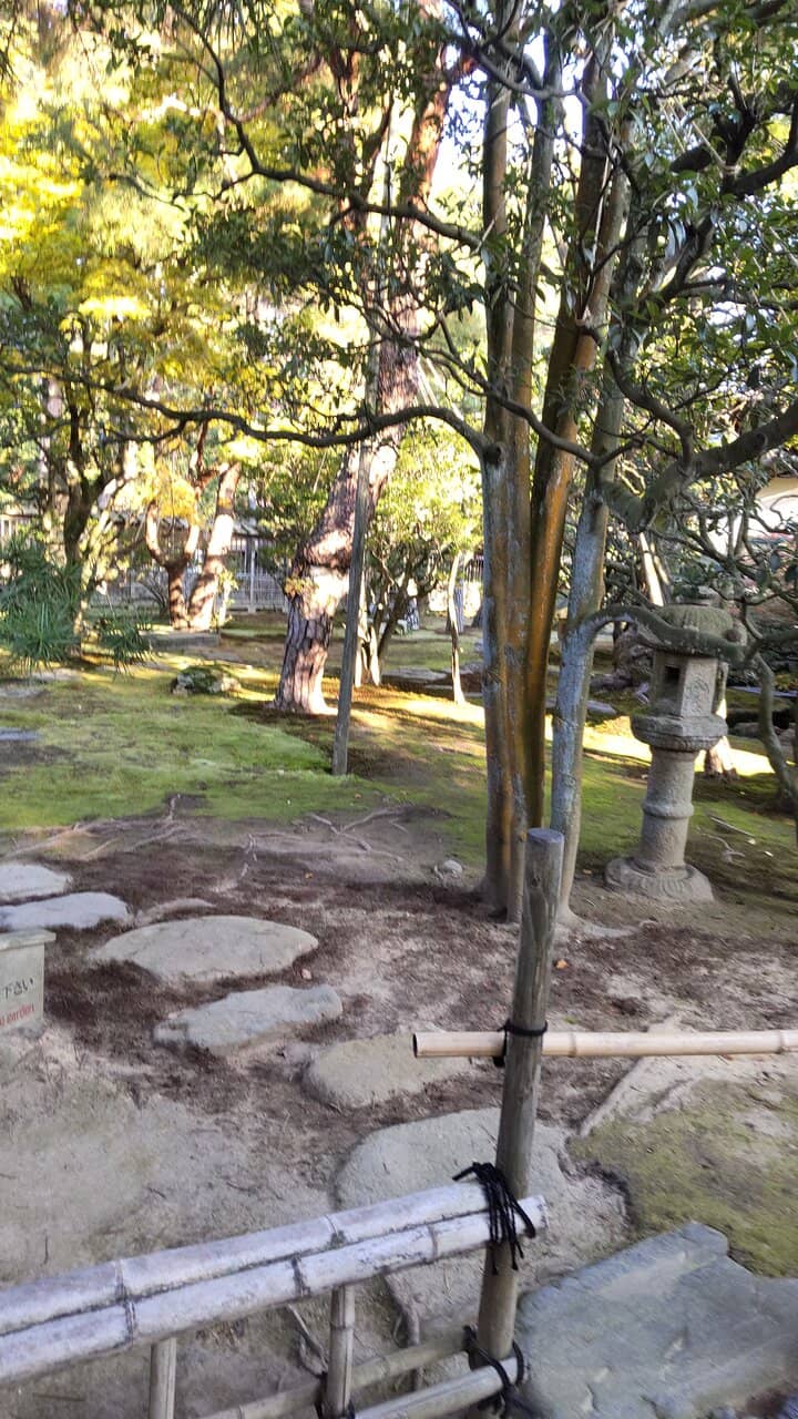Expansive Garden