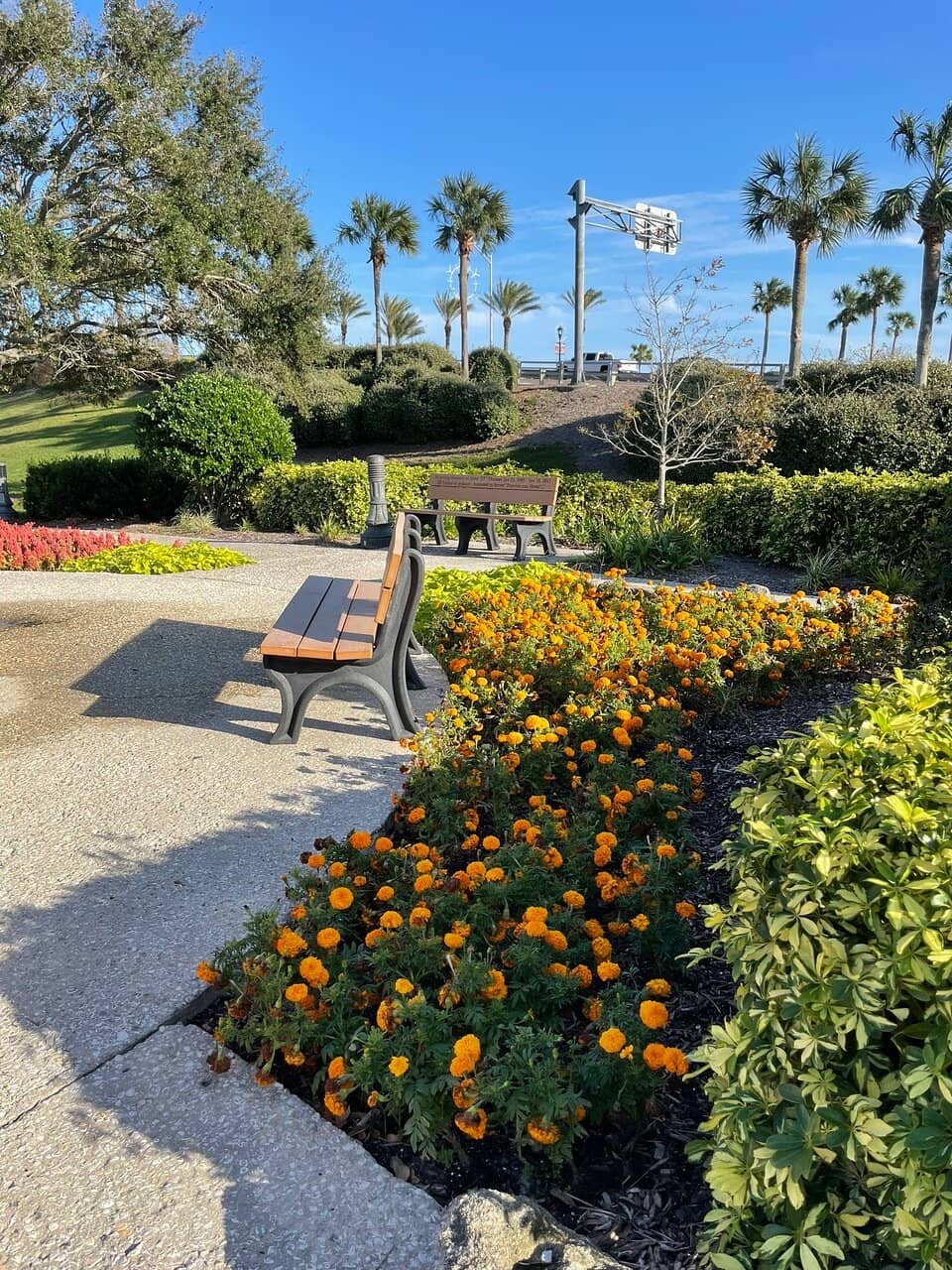 Sculpture Art Installations