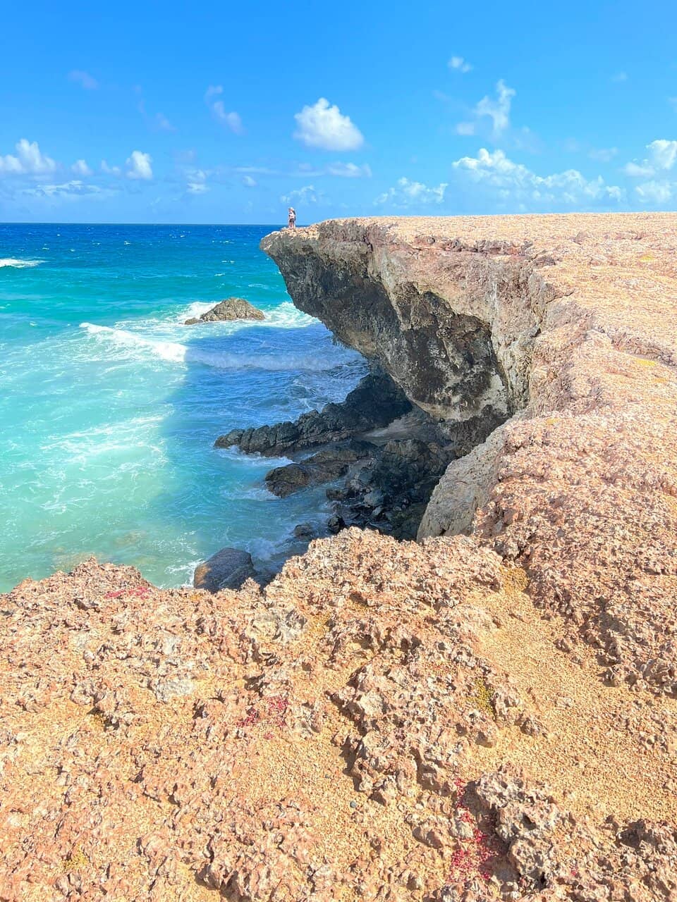 Vertical photo