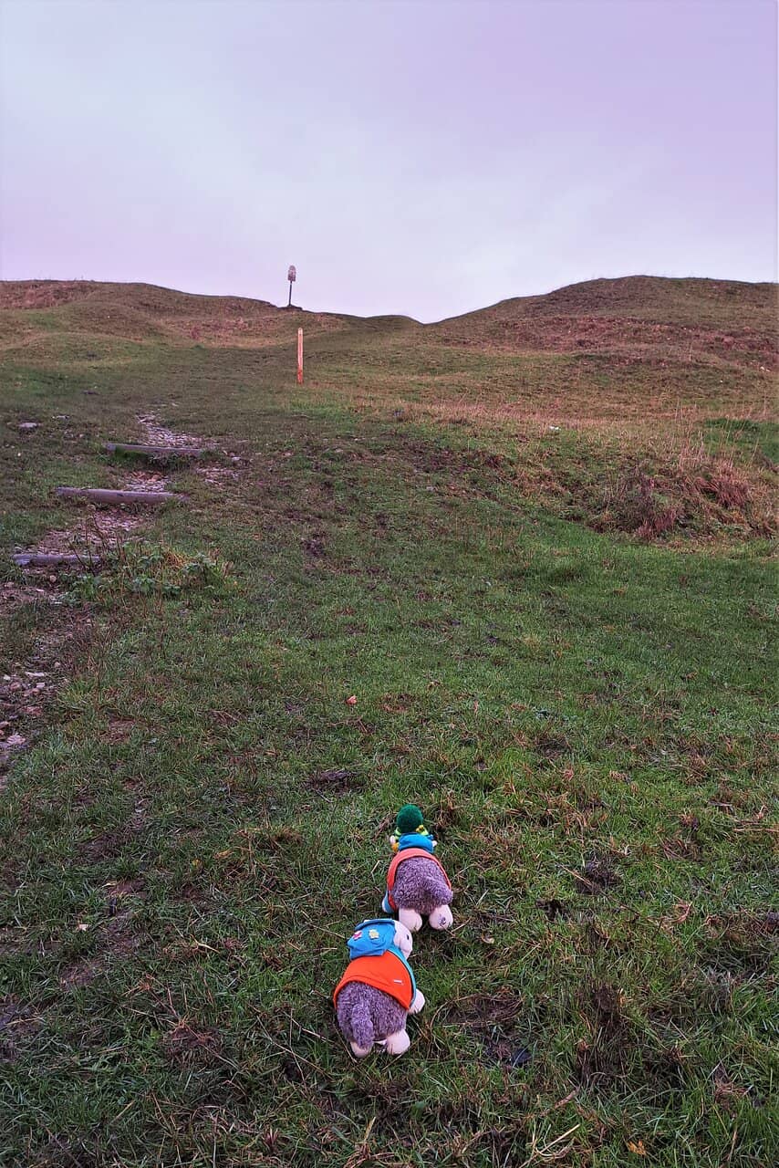 Picnic Spot