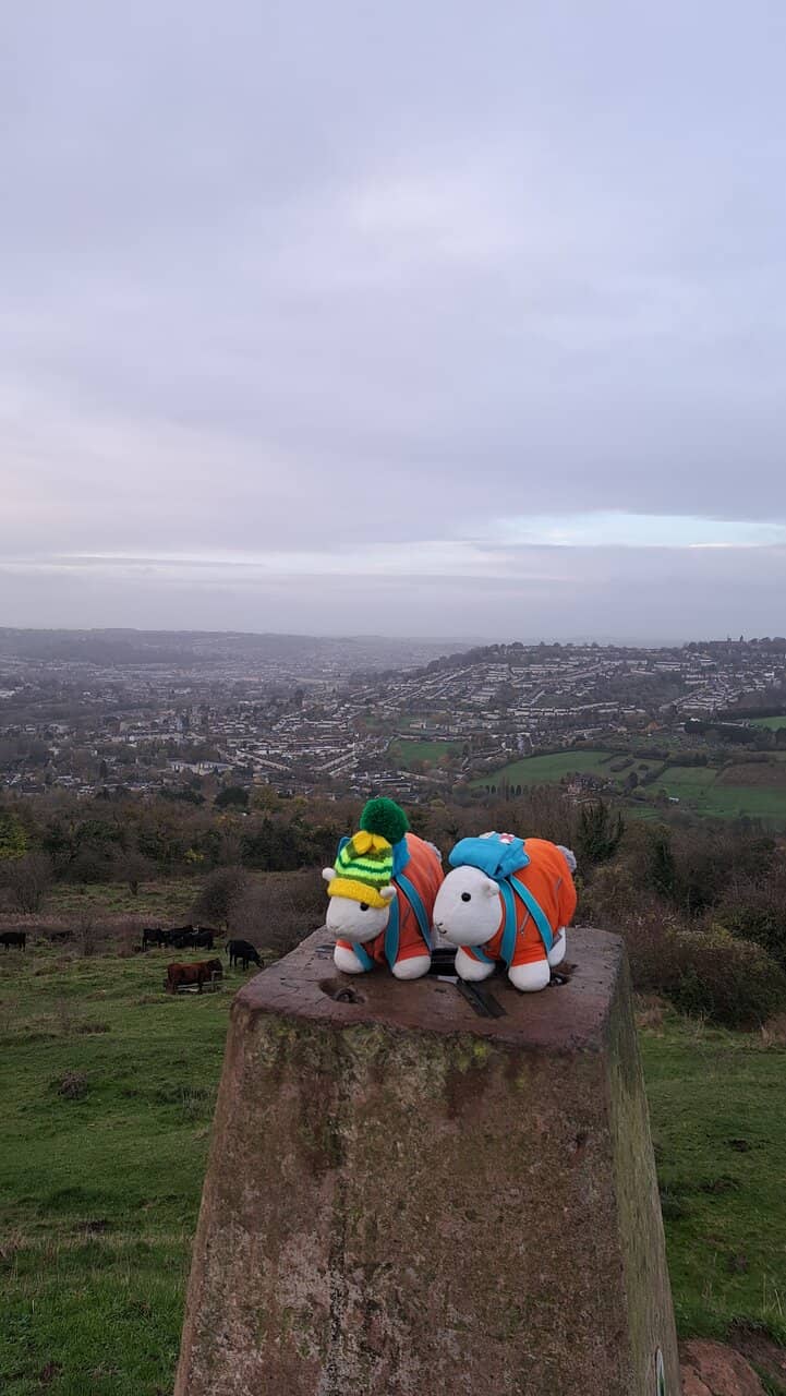 Trig Point
