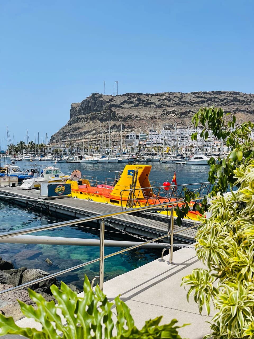 Artificial Reef Exploration