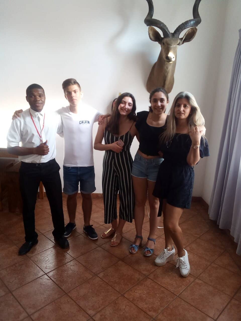 Unique Taxidermy Displays