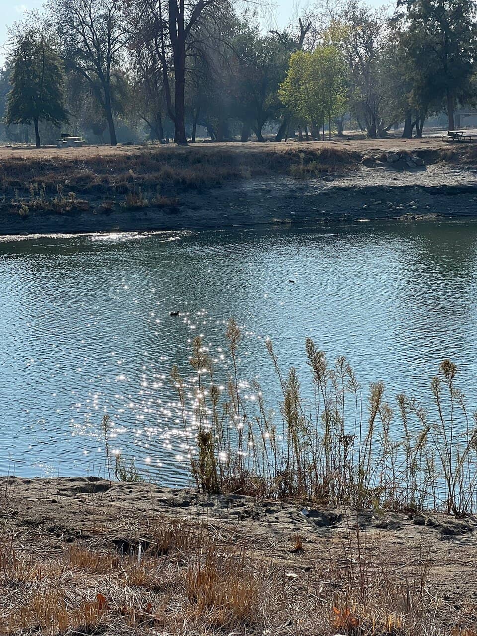 Fishing Opportunities