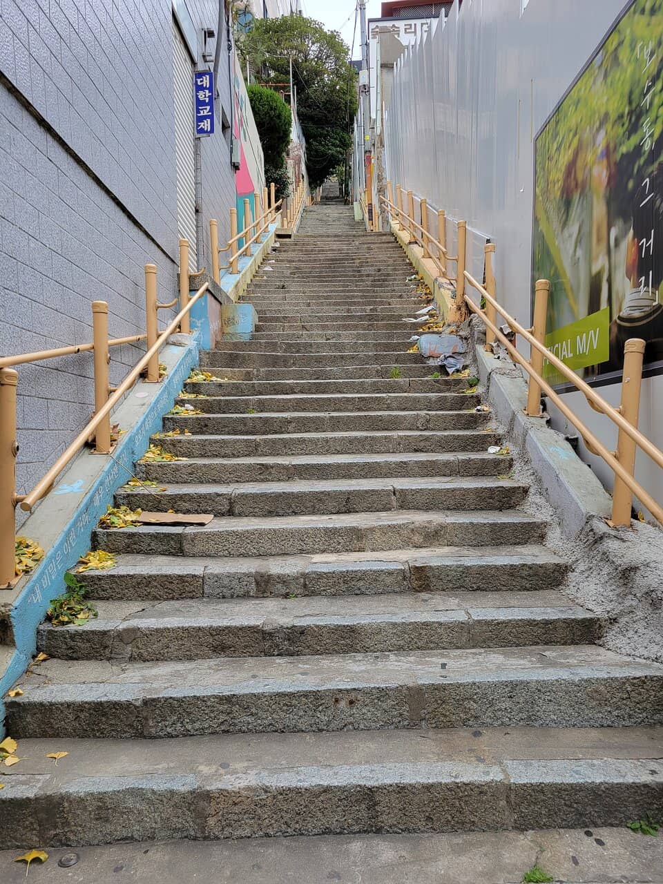 Endless Rows of Books