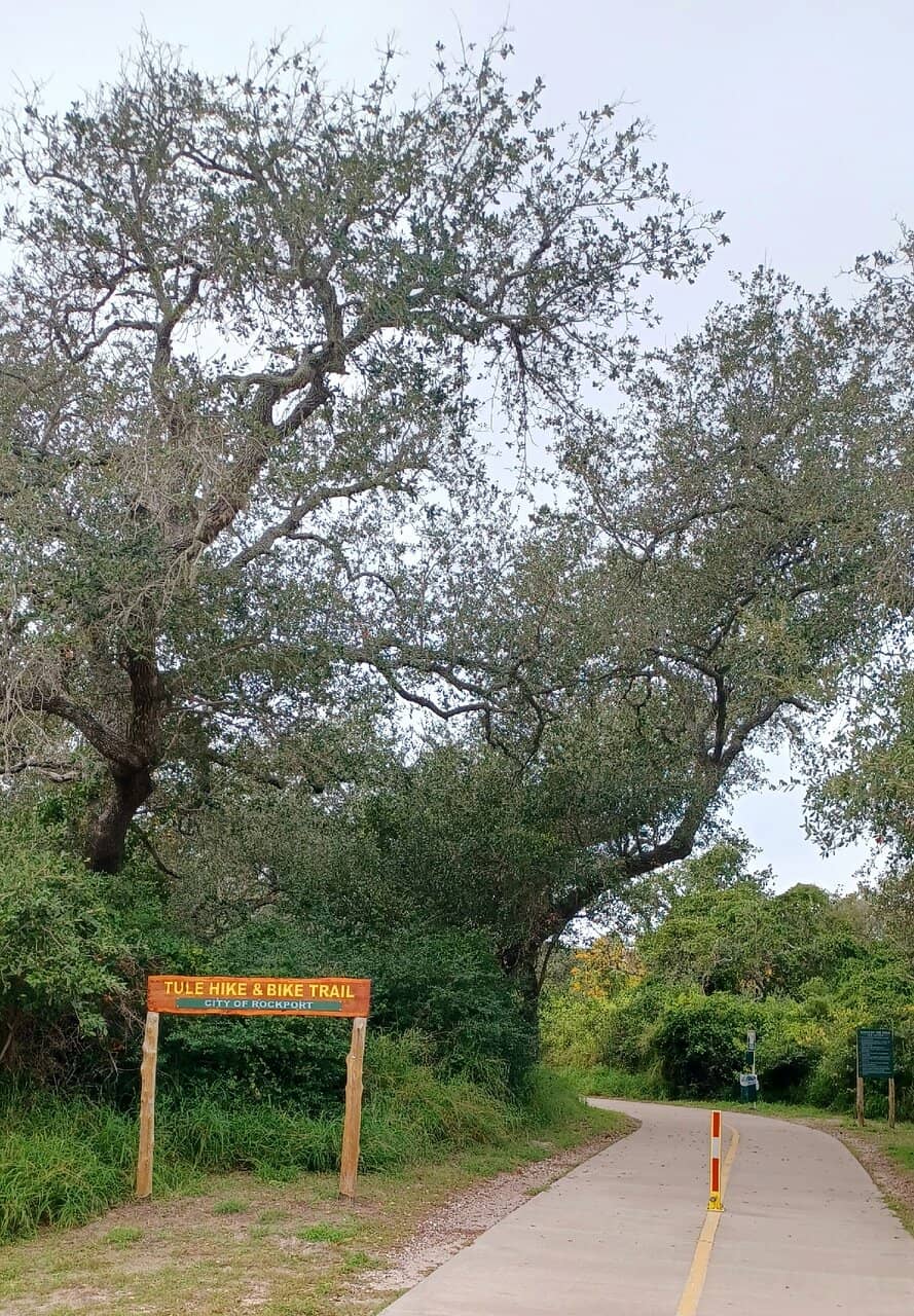 Abundant Wildlife Sightings