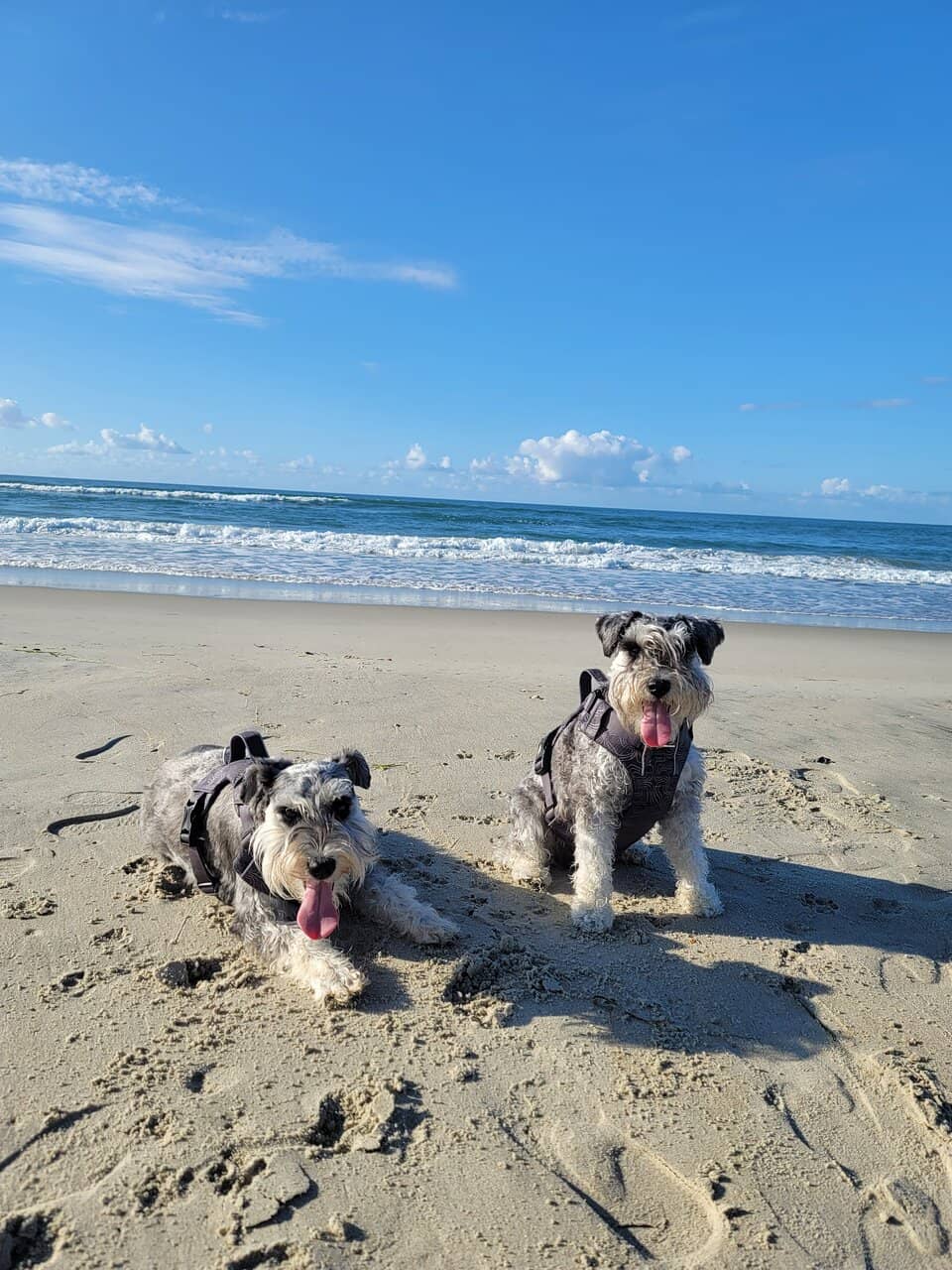 Coastal Towns & Villages