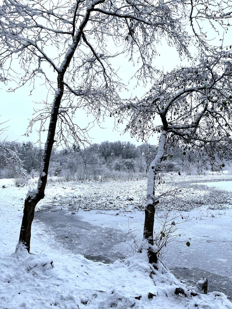 Expansive Green Spaces