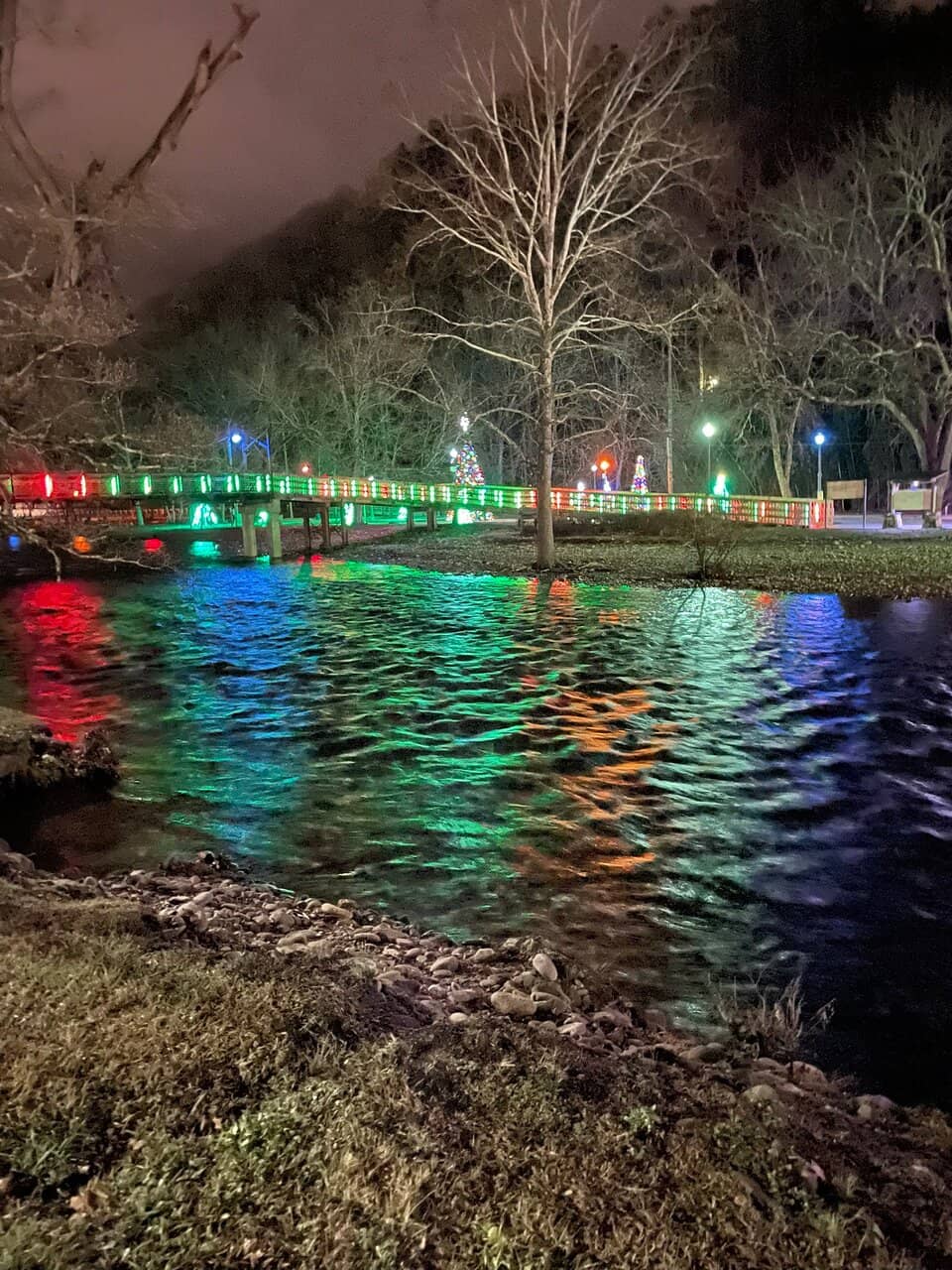 Holiday Brunch Delights