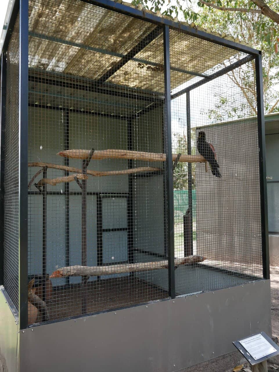 Reptile Room