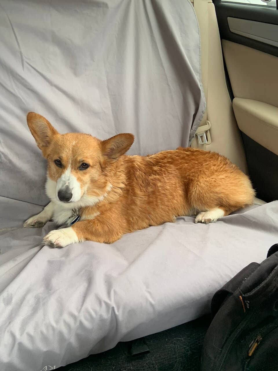 Replenished Tennis Balls