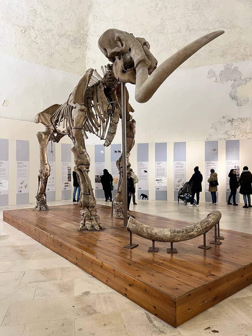 Children's Play Area