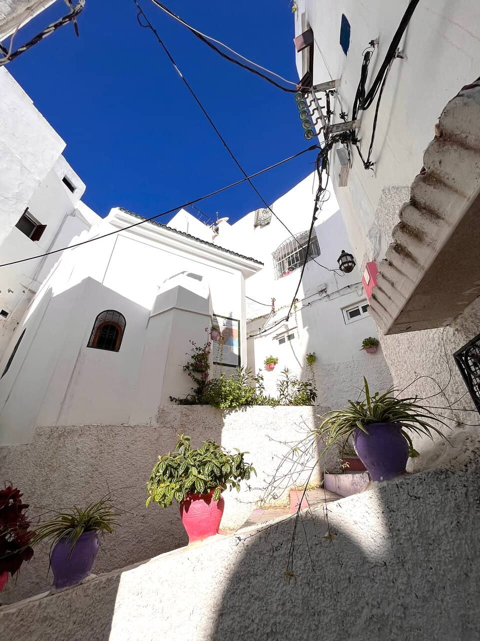 Stories from the Site Keeper