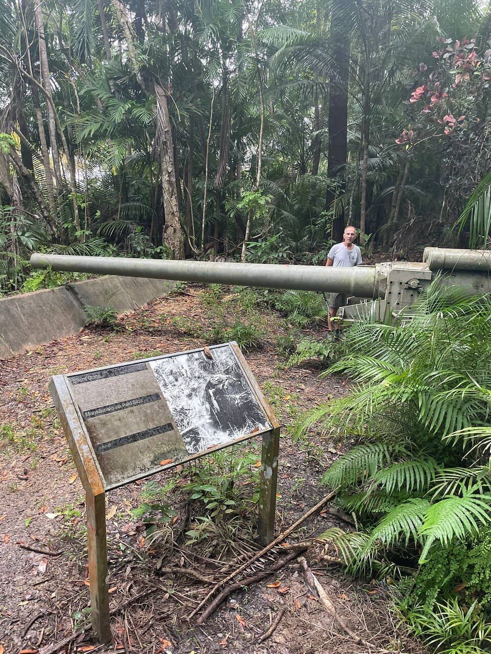 Jungle Trail Hike