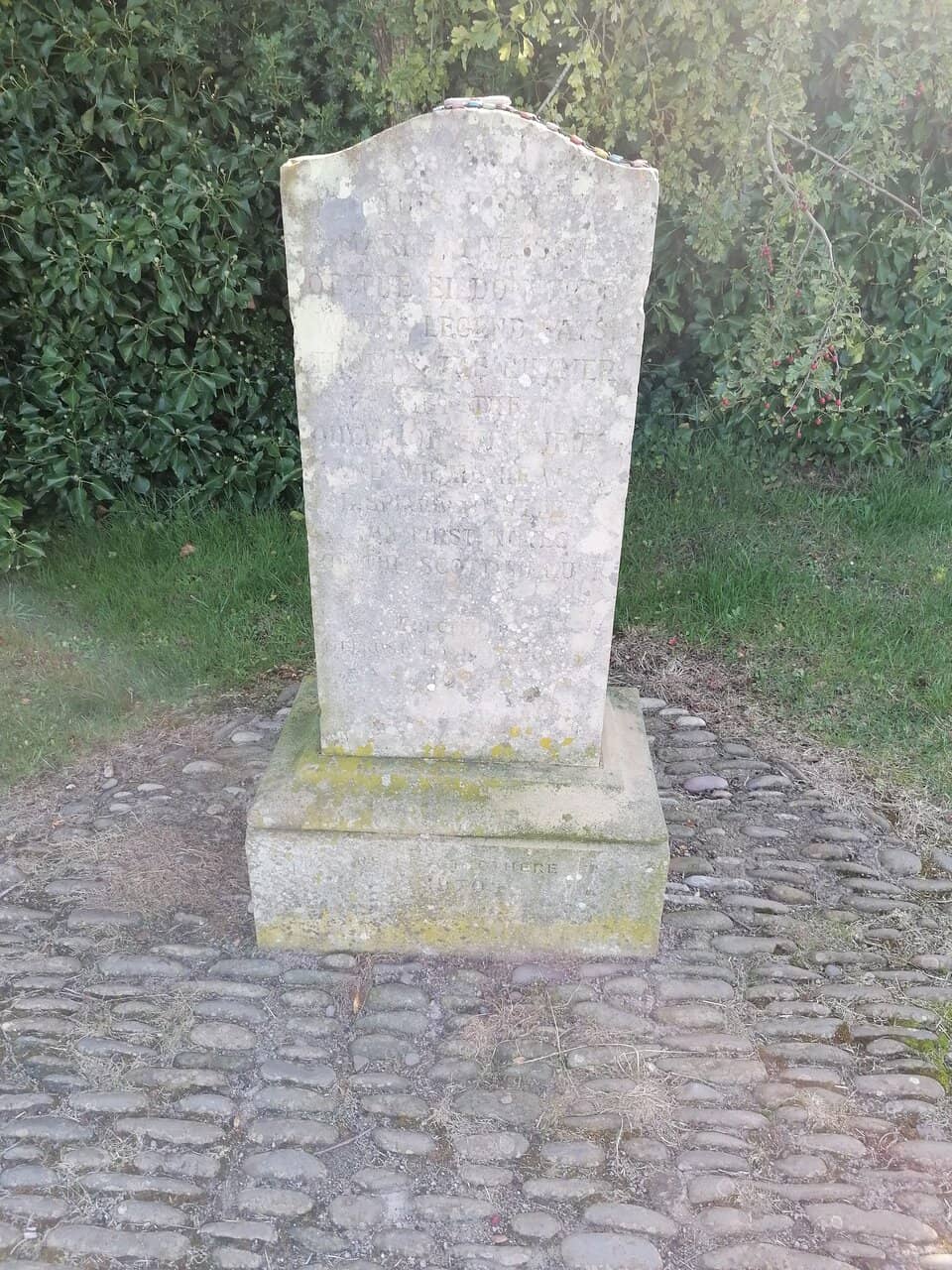 Vertical photo