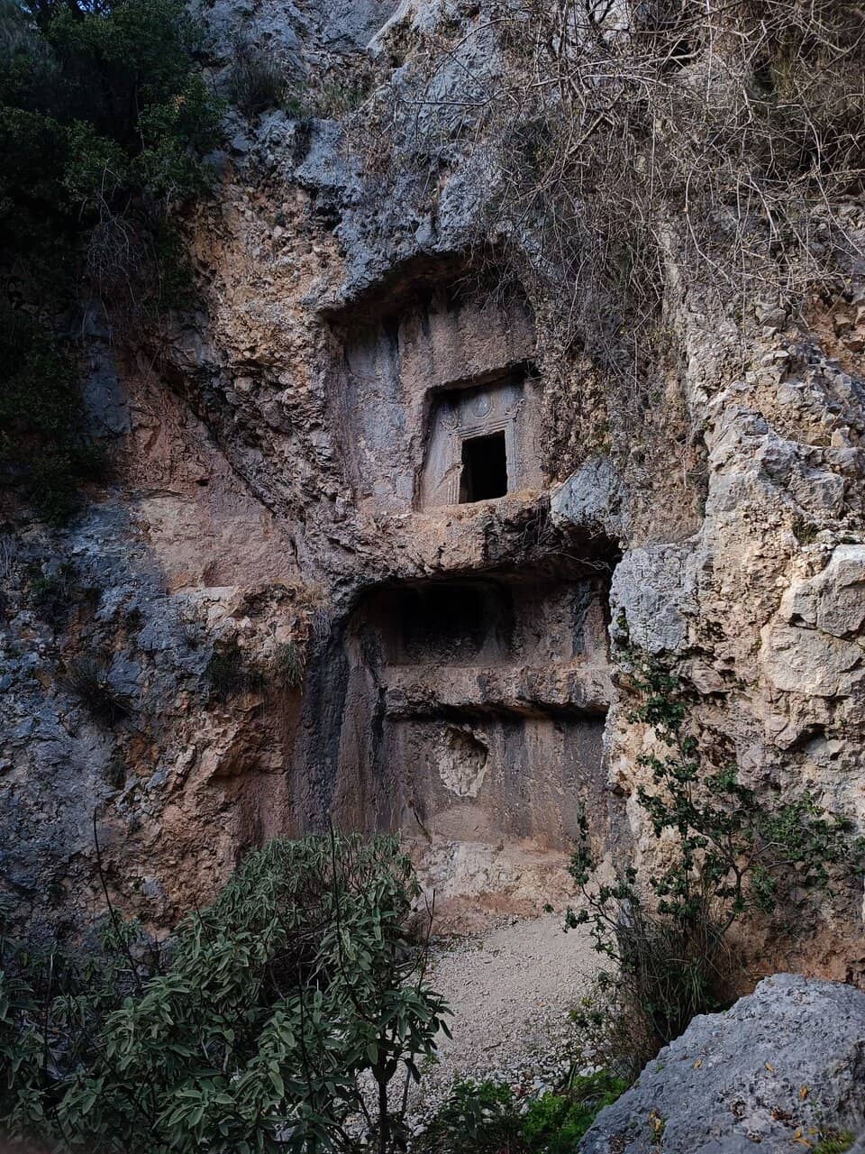 Vertical photo