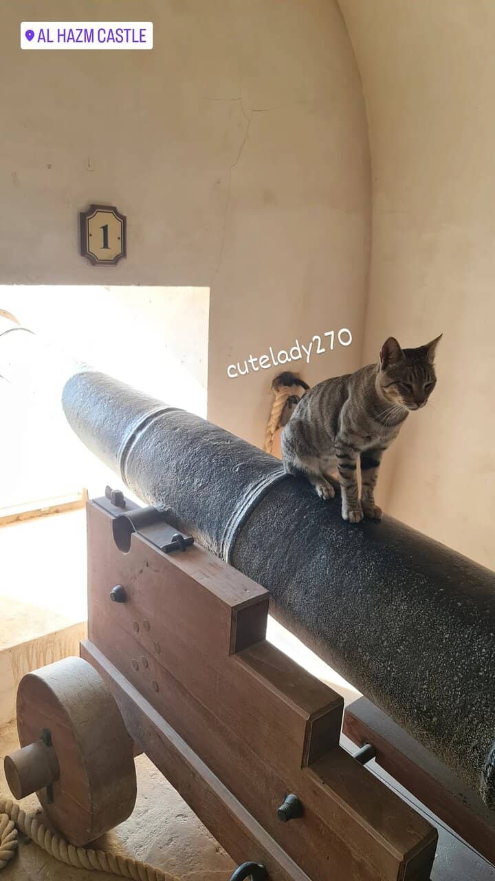 Impressive Architecture