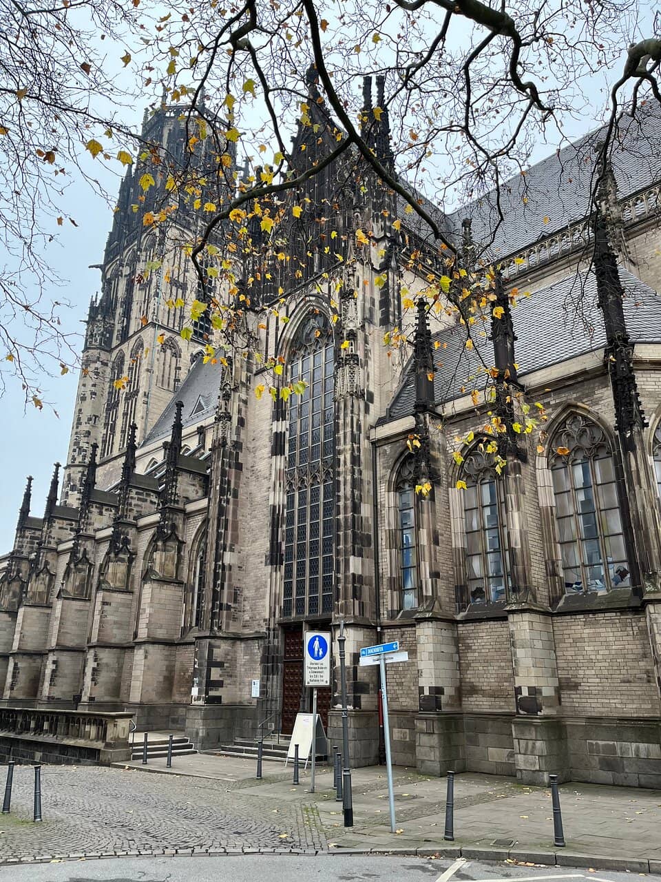 Impressive Organ