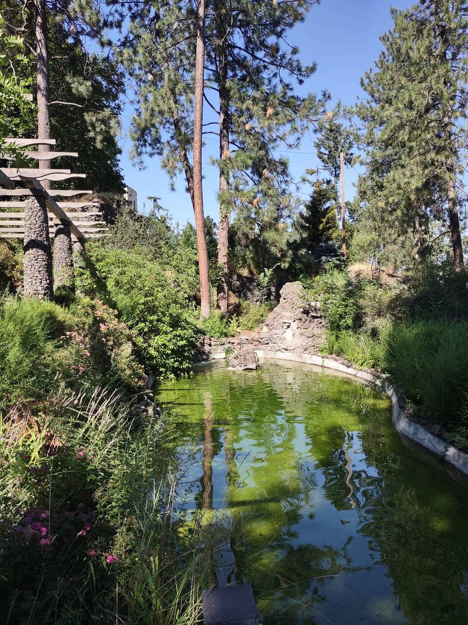 Vertical photo