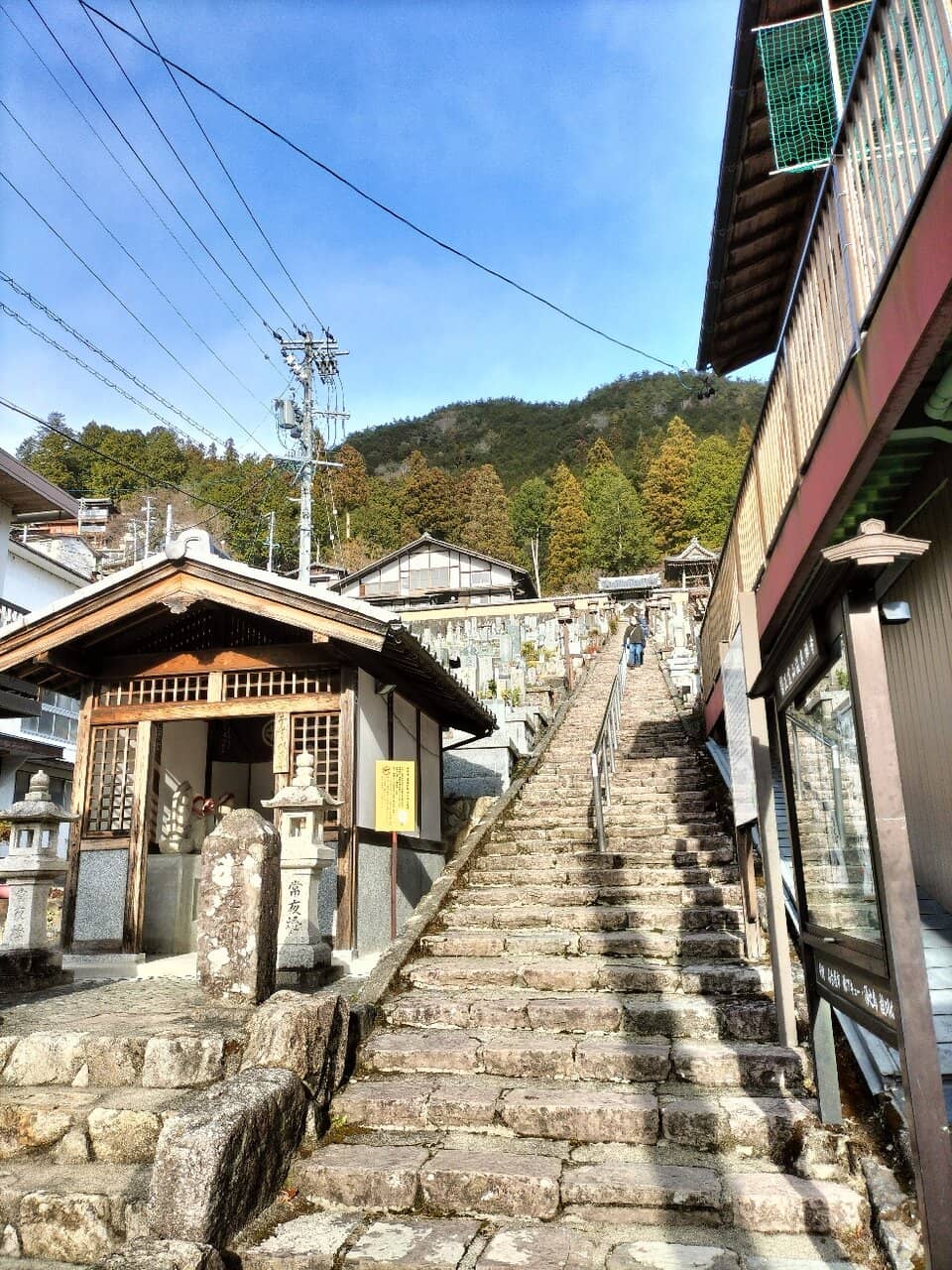 Autumn Foliage Spectacle