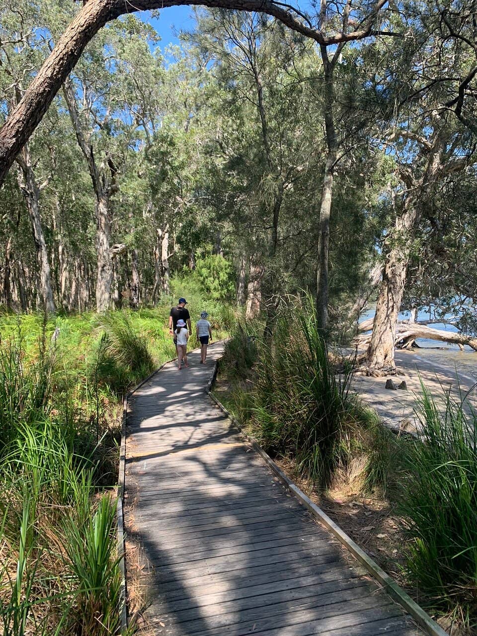 Native Bushwalks & Boardwalks