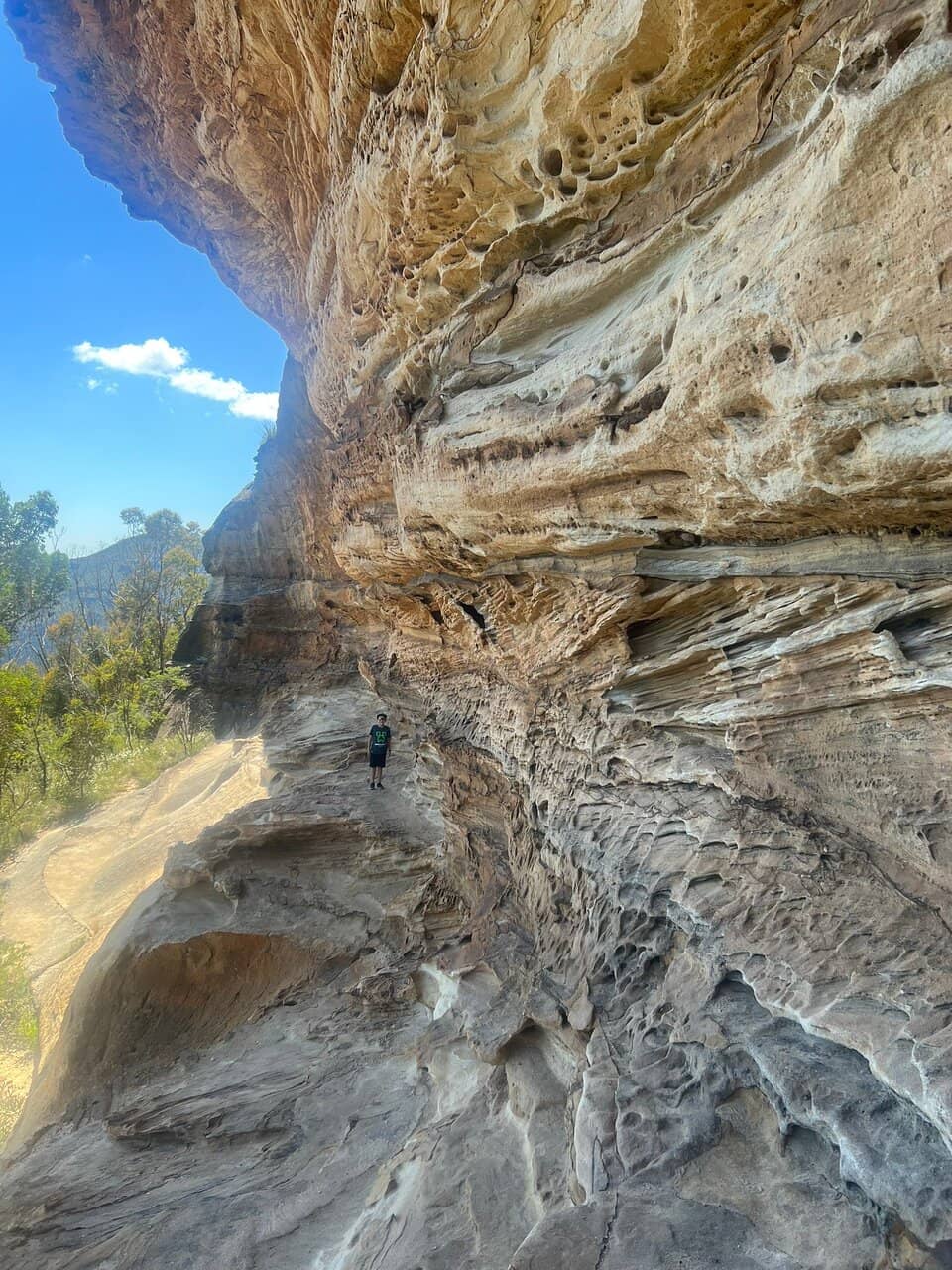 Vertical photo