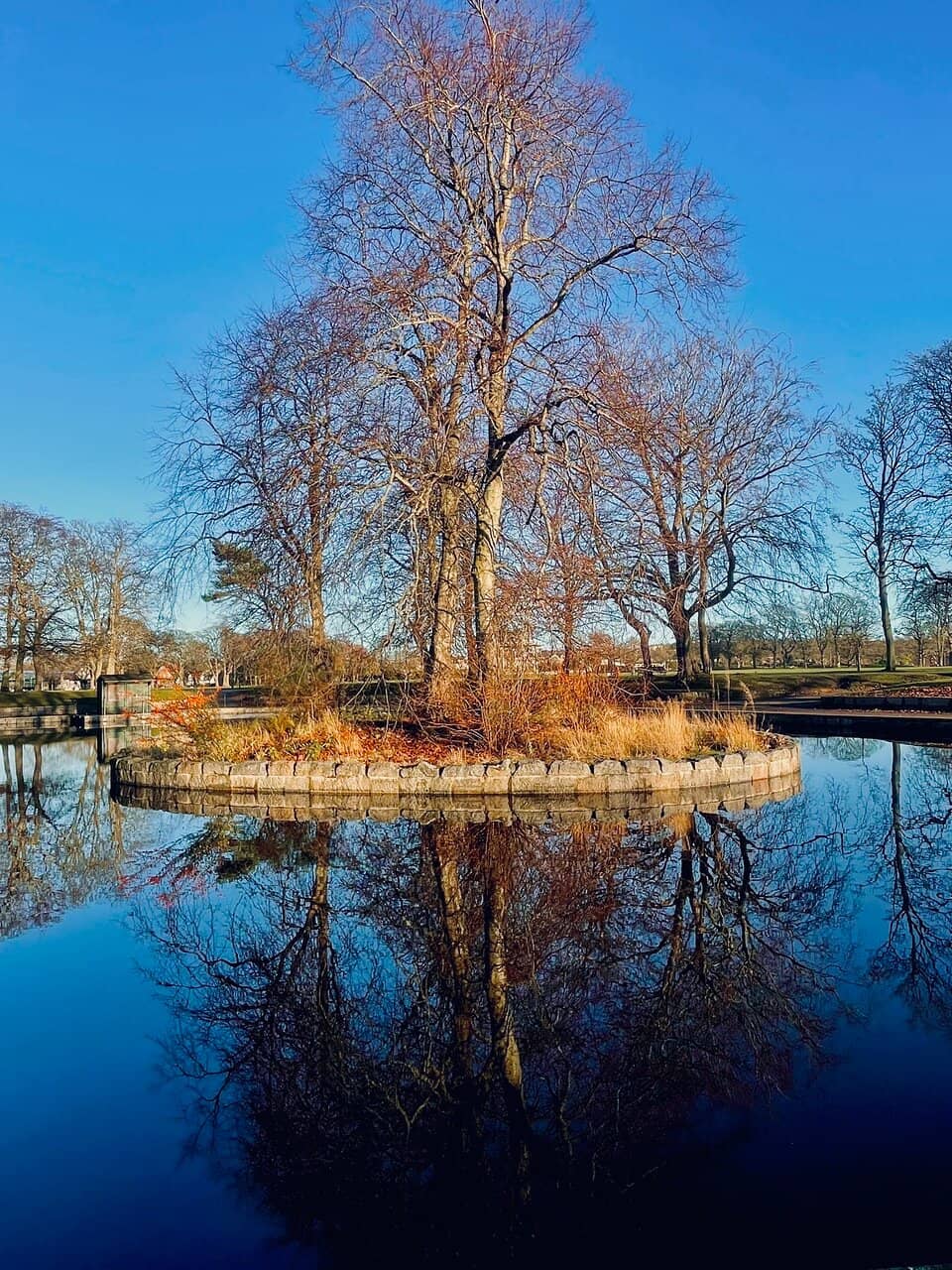 Vertical photo