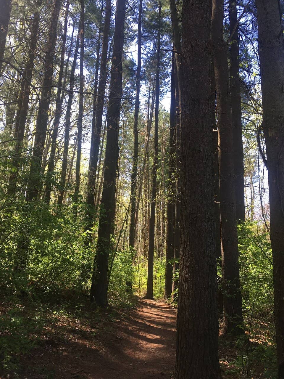 Vertical photo