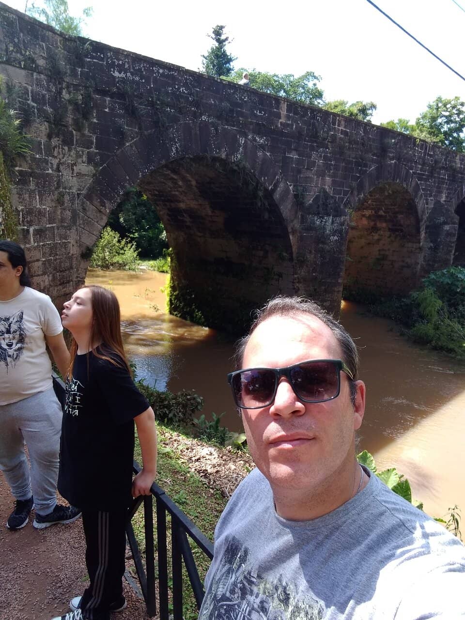 Scenic Train Passage