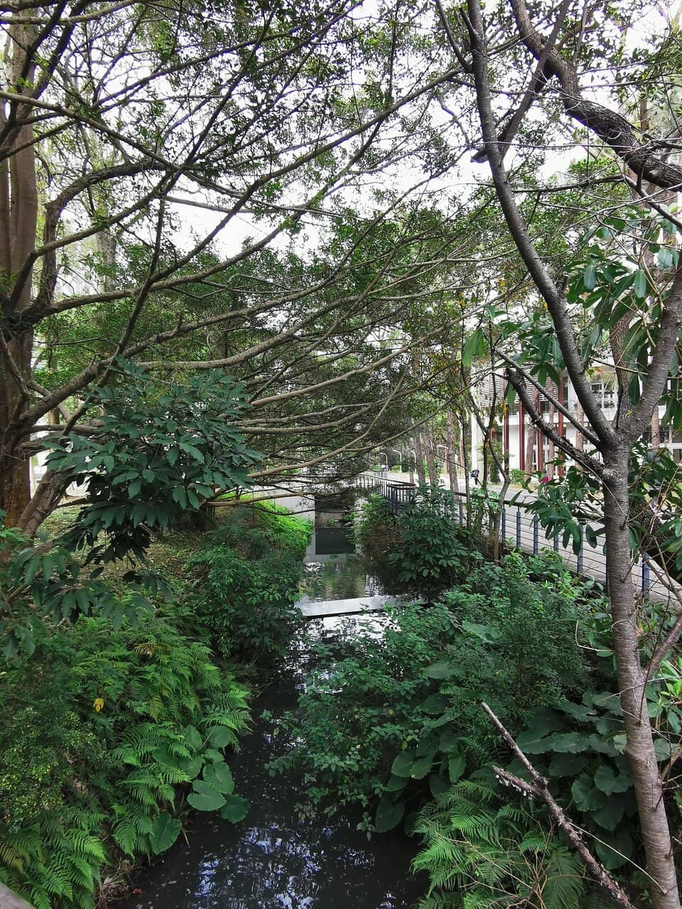 Vertical photo